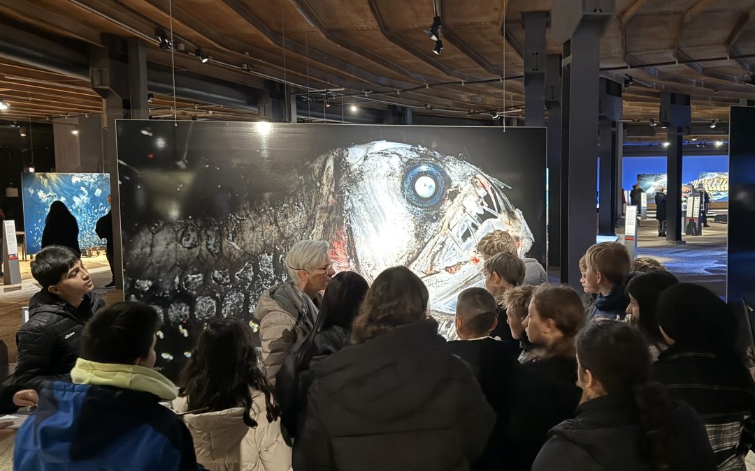 „Runter in den Ozean“