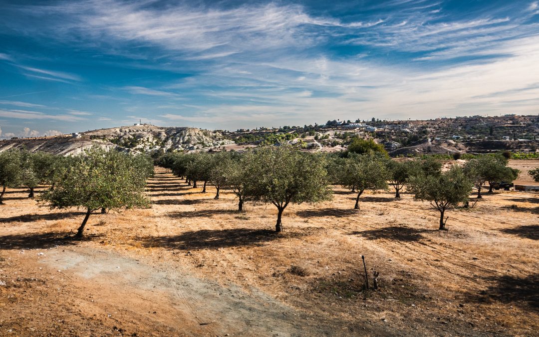 Outdoor Odyssee: Unsere besondere Erasmus+-Fortbildung auf Zypern